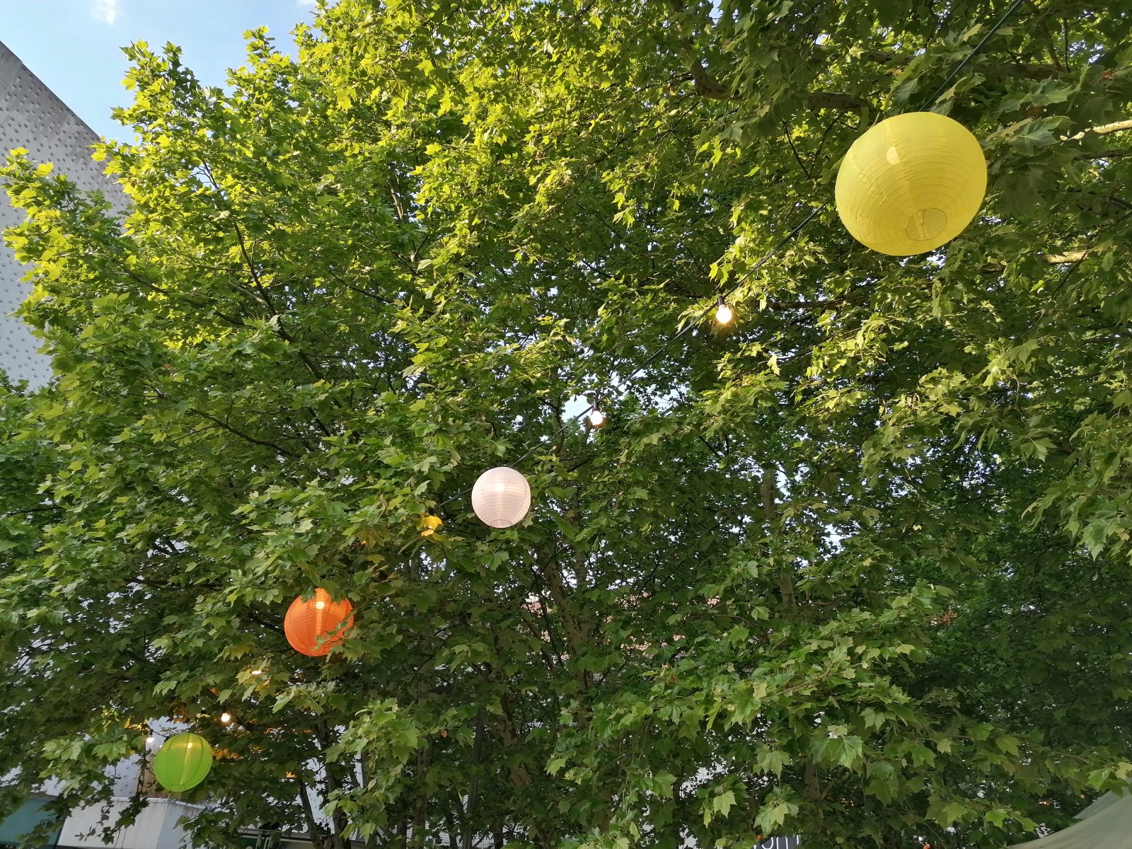 Girlanden beim Bregenz Life Festival Girlanden beim Bregenz Life Festival